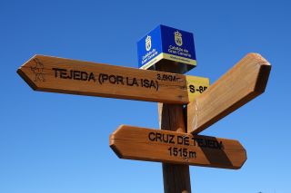 2021-02-GC-PM-NN-Cruz_Tejeda-01.JPG
